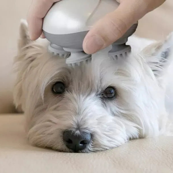 Masajeador Eléctrico USB para Mascotas – Mini Masajeador Inteligente 360°
